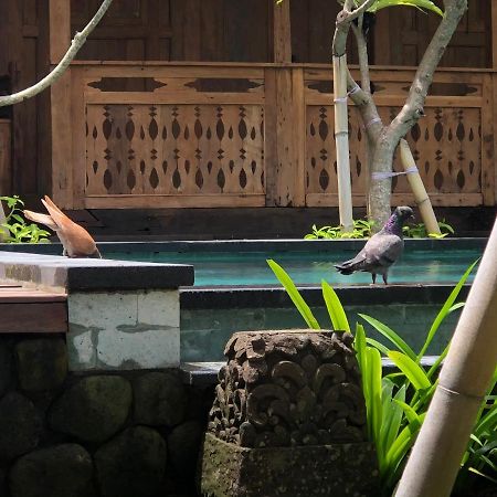 Melati Bali Homestay Canggu  Exterior photo